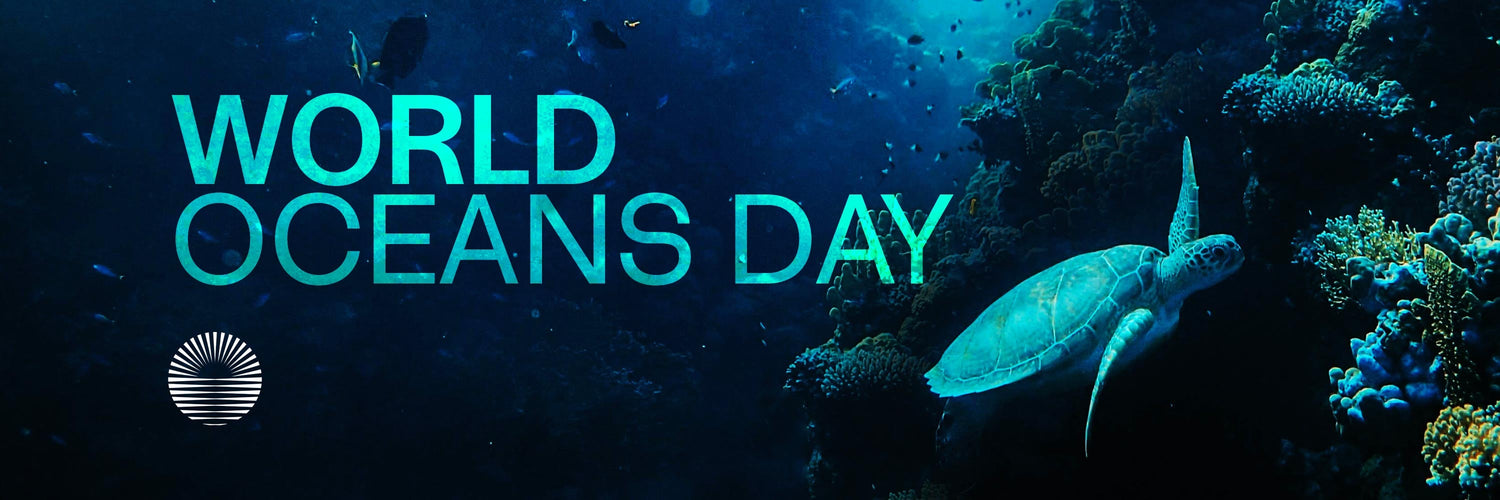 Ocean heroes on World Oceans Day