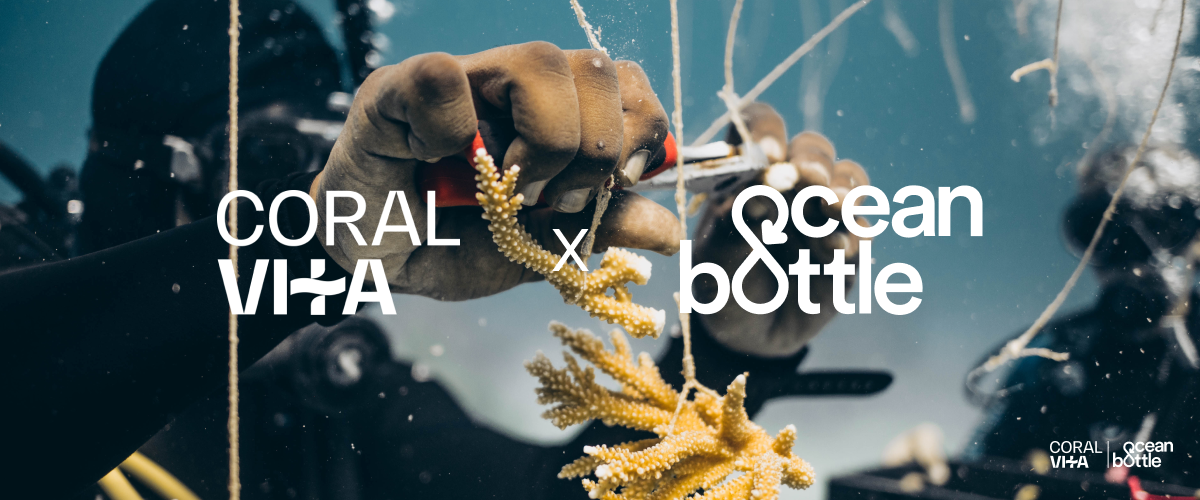 Partnership with Coral Vita