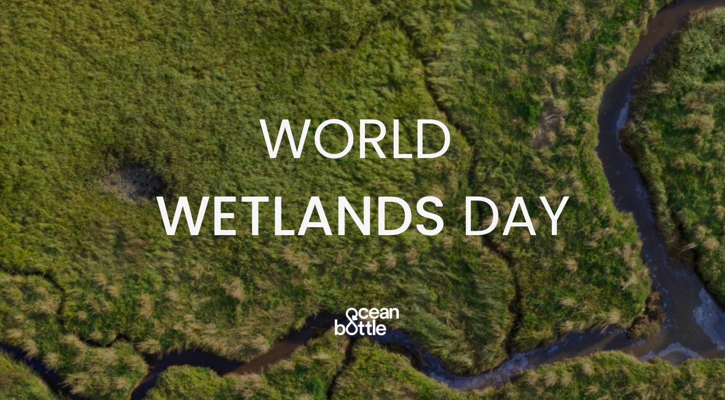 World Wetlands Day 2024